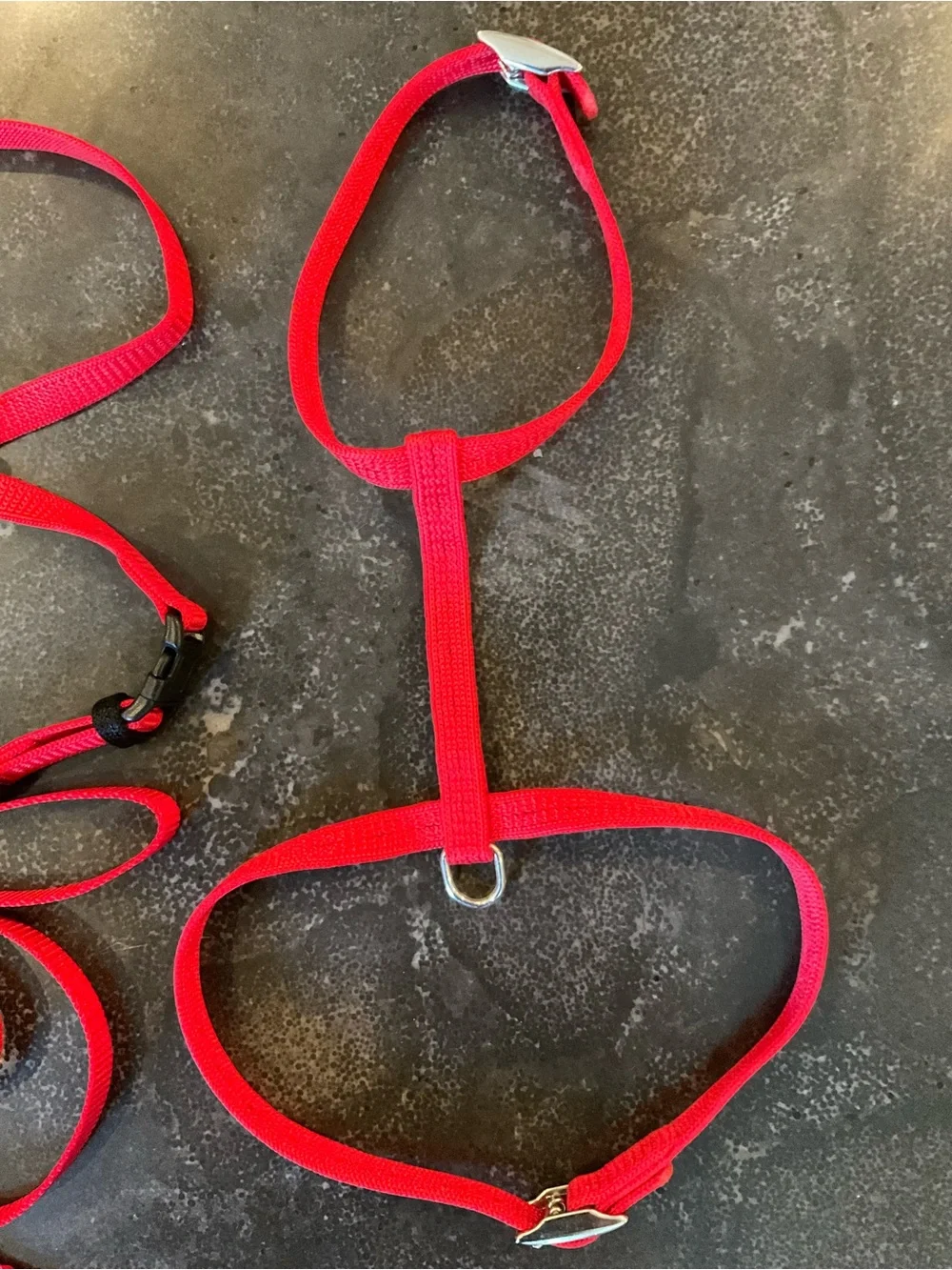 Bright Red Nylon Cat Harness and Leash Set